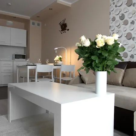 Mizu - Szampanski Apartment *